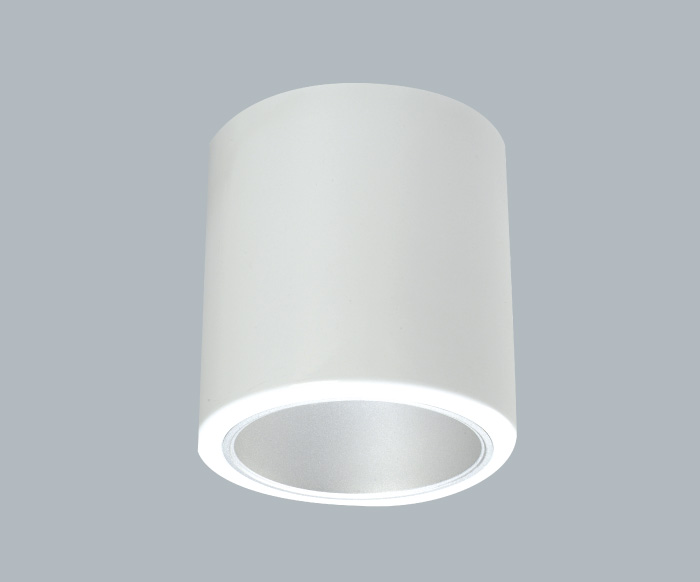 CYTM3135 Mounted Downlight